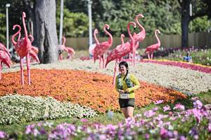 BIB: 
                            <button type="button" onclick="openModal(27793591)" class="btn btn-primary btn-sm float-right btn-popup" data-toggle="modal" data-target=".modal-high-quality">
                        <i class="fas fa-shopping-cart"></i> Add to Cart
                    </button>
                                            <button type="button" onclick="isThisMe(27793591, true)" class="btn btn-success btn-sm float-right btn-popup btn-isme hidden" data-toggle="tooltip" data-placement="bottom" title="นี่คือรูปของคุณใช่ไหม คลิกที่นี่เพื่อเอาเข้าอัลบั้ม">
                        <i class="fas fa-plus"></i> Add to album
                    </button>
                    <button type="button" onclick="isThisMe(27793591, false)" class="btn btn-warning btn-sm float-right btn-popup btn-isnotme hidden">
                        <i class="fas fa-ban"></i> Remove from album
                    </button>